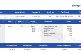 Wireex Paystub Generator: Create Accurate Pay Stubs Effortlessly